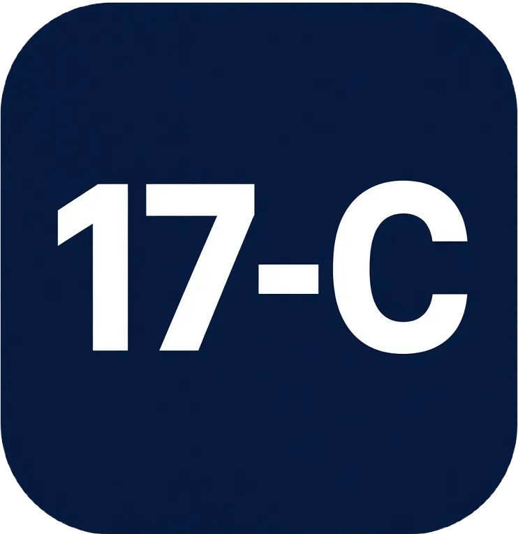 17C APP品牌小图形